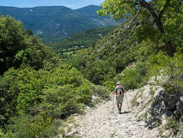 25: 160620-132126_Montbruns-les-Bains