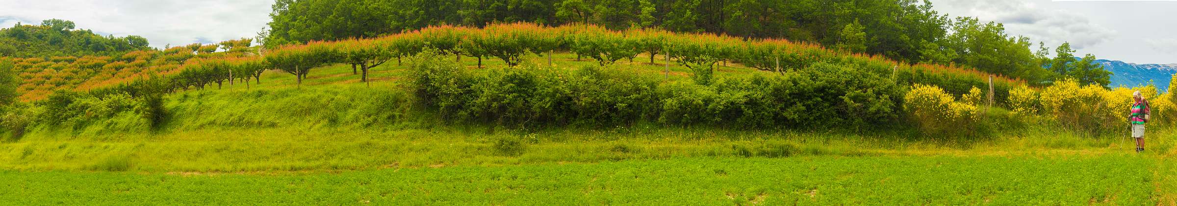 Klik om de knoppen te tonen of te verbergen