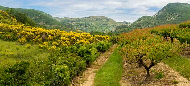 12: 160621-132039_Montbruns-les-Bains-Pano