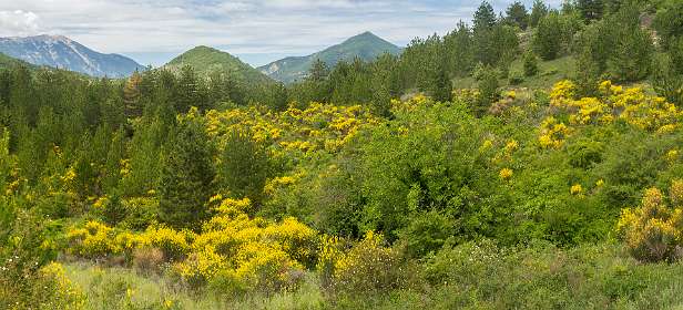 13: 160621-133720_Montbruns-les-Bains-Pano
