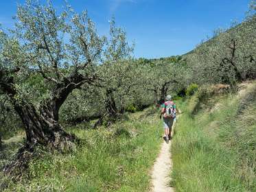 16: 160521-122733_Nyons