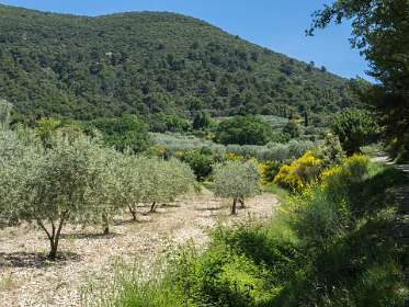 17: 160521-123449_Nyons