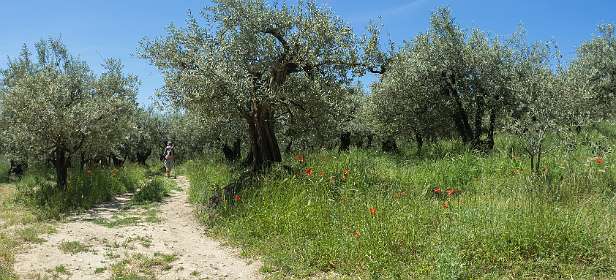 18: 160521-123704_Nyons-Pano