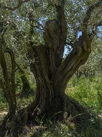 19: 160521-123825_Nyons-HDR