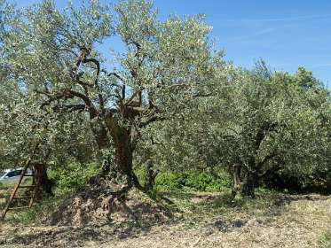 20: 160521-124506_Nyons