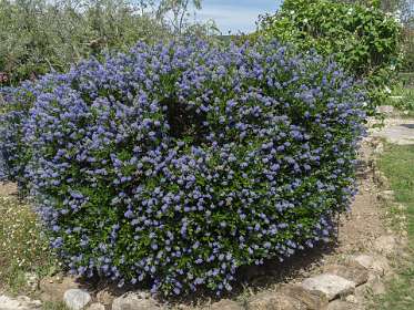 18: 160522-111048_Nyons<br>Le Jardin des Arômes