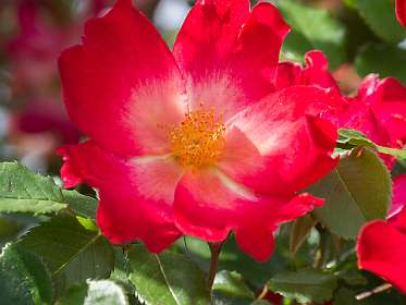 20: 160522-111248_Nyons