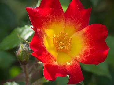 21: 160522-111256_Nyons