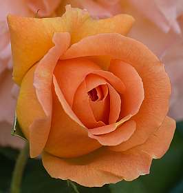 24: 160522-113524_Nyons