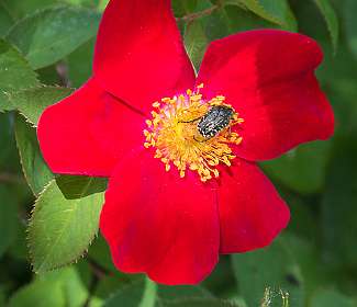 25: 160522-113822_Nyons