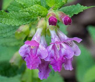 4: 160523-105947_Nyons