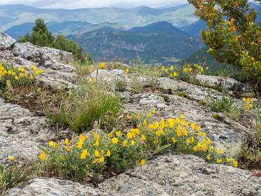 19: 160523-131256_Nyons