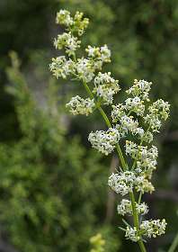 24: 160523-142509_Nyons