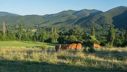 22: 160622-202607_Poet-Laval