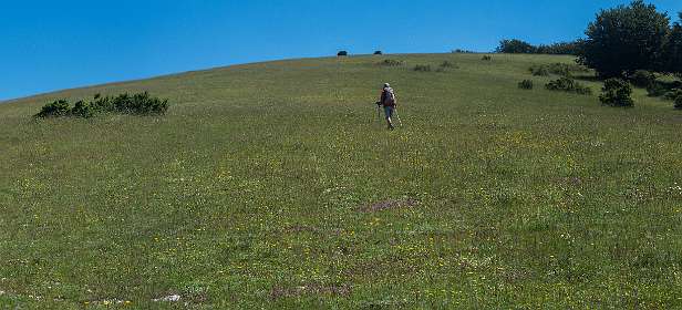 4: 160623-114825_Poet-Laval-Pano