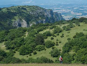 10: 160623-120737_Poet-Laval