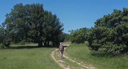 14: 160623-131510_Poet-Laval