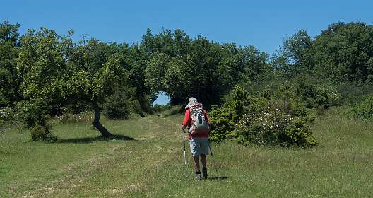 16: 160623-132021_Poet-Laval