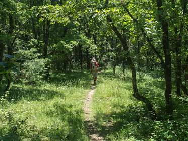 22: 160623-140737_Poet-Laval