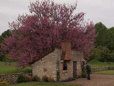 1: Blois_0001<br>Bakhuisje bij Chailles