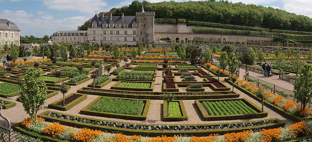 15: P5060225_0062 _4_AP<br>De Moestuin