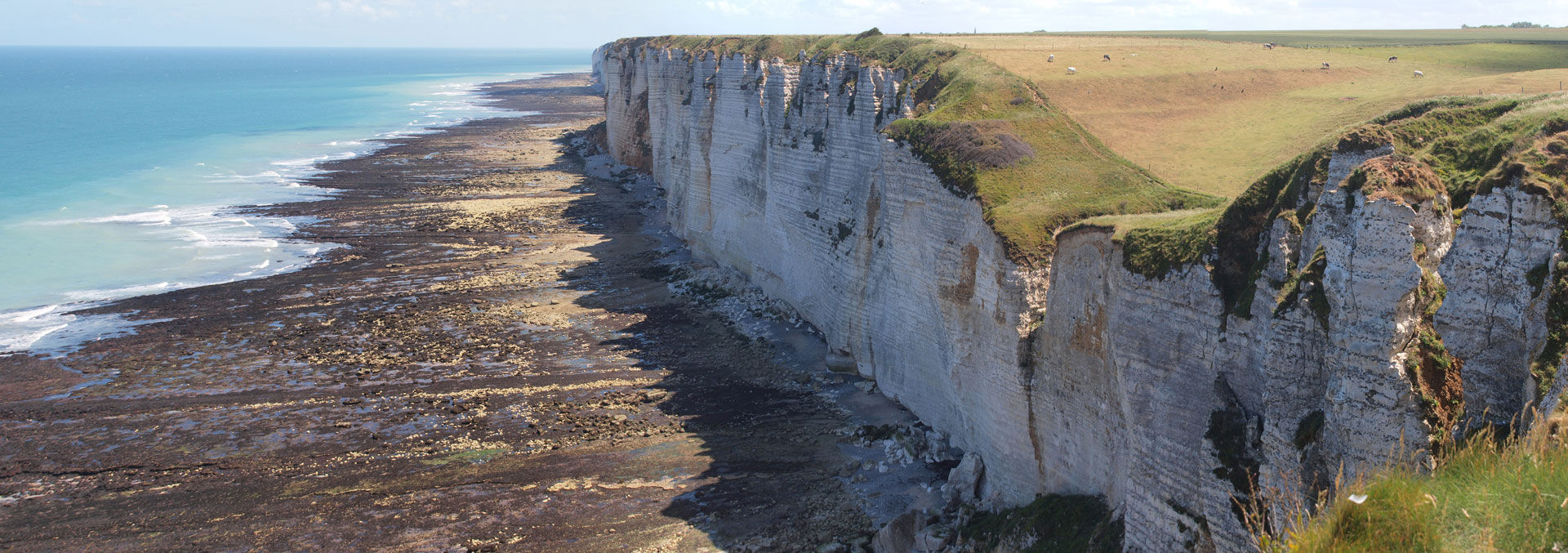 Klik om de knoppen te tonen of te verbergen