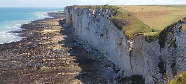 16: 2011 06 09_0035B__3