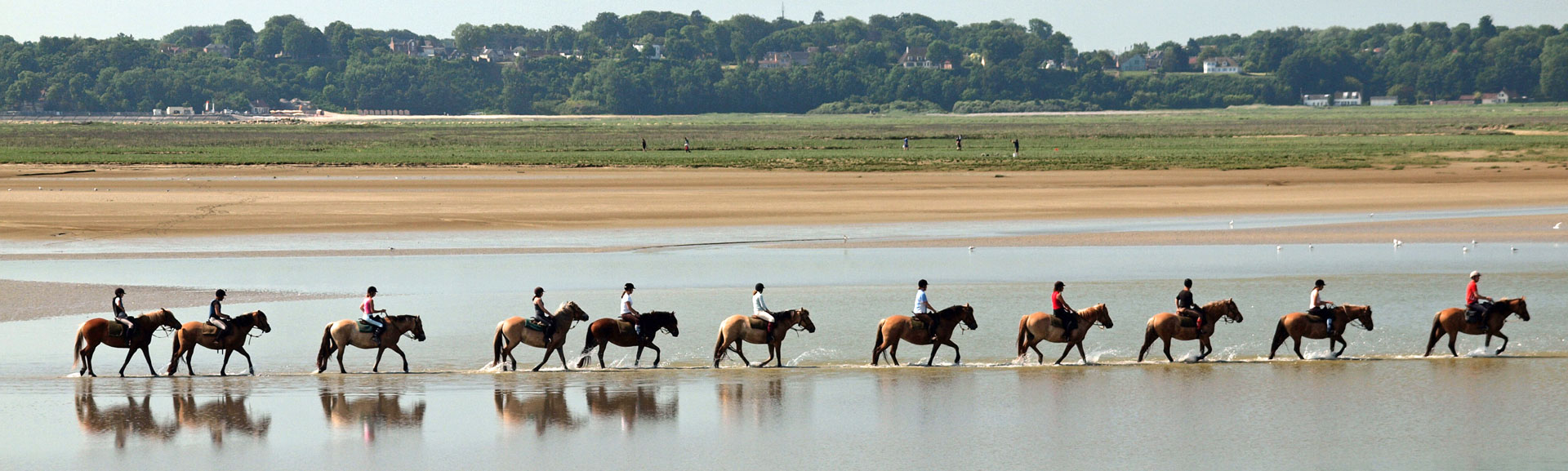Klik om de knoppen te tonen of te verbergen