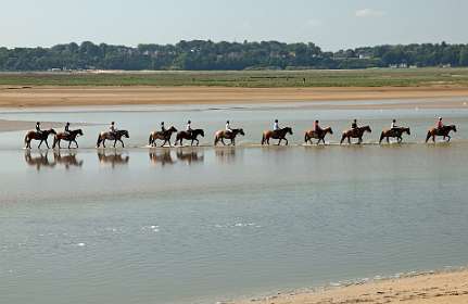 11: 2009 05 31_0903<br>De Somme