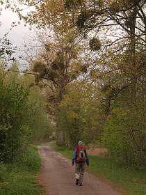 32: 10 05 05_0175<br>Chemin des Etangs