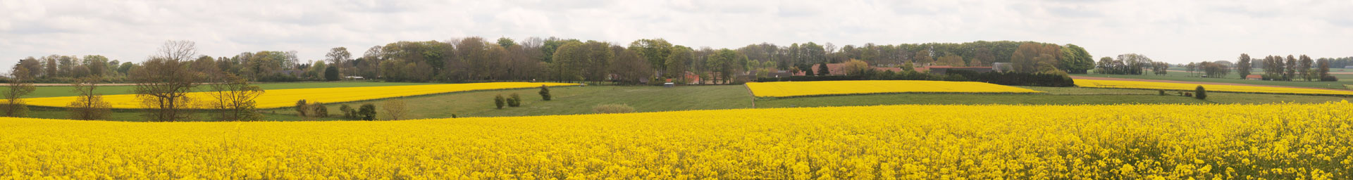 Klik om de knoppen te tonen of te verbergen