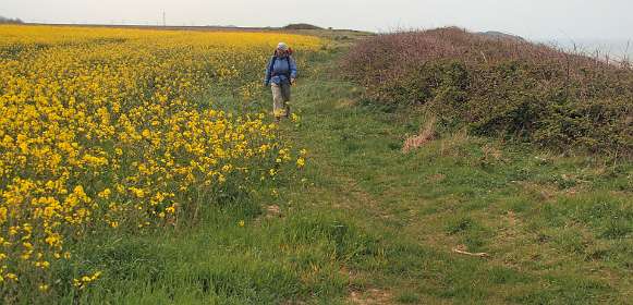 26: 10 07 05_0294<br>Hoog over terug naar Veules les Roses
