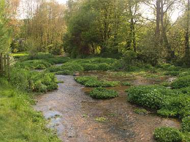 32: 10 08 05_0320<br>De  bron van de Veules