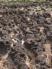 54: 10 09 05_0403<br>Schelpafzetting op de kalkbodem