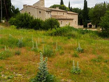 6: 170531105538BotanischeRoute