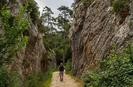 10: 170531110912BotanischeRoute