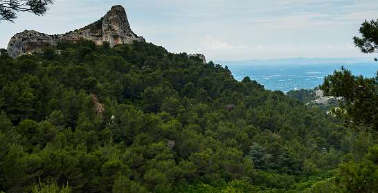 13: 170531114744BotanischeRoute