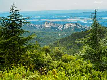 14: 170531115602BotanischeRoute<br>Les Apilles