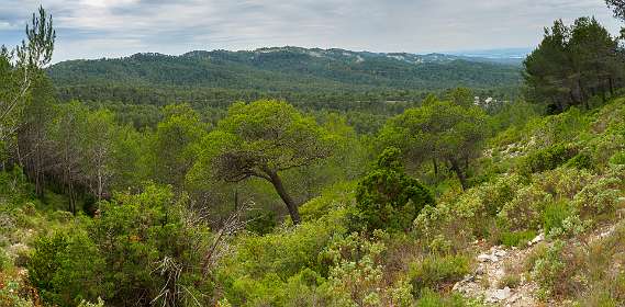 16: 170531120114BotanischeRoute-Pano