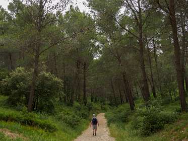 17: 170531121432BotanischeRoute