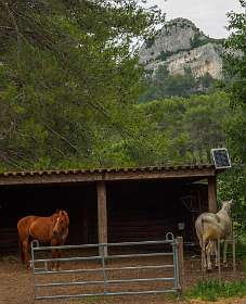 18: 170531123203BotanischeRoute