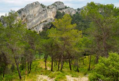 23: 170531131818BotanischeRoute