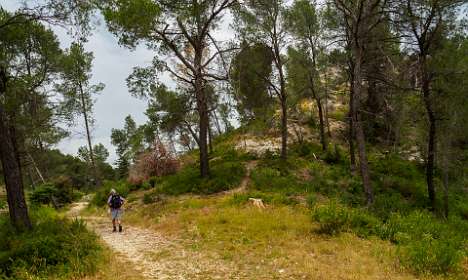 24: 170531131853BotanischeRoute