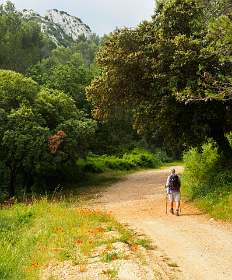 1: 170601102725Caume