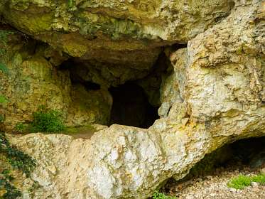 2: 170601103138Caume