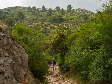 3: 170601103337Caume