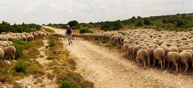 11: 170601114354Caume-Pano-denoise