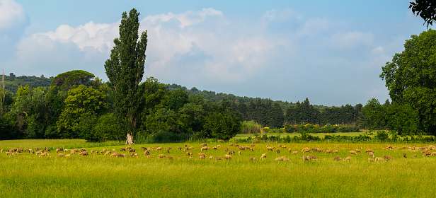 1: 170603093825LesBaux-Pano