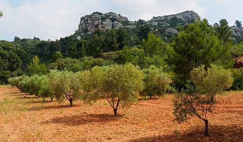 6: 170603104202LesBaux