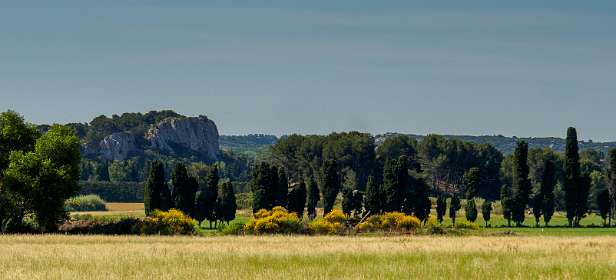 7: 170604095301Maussane